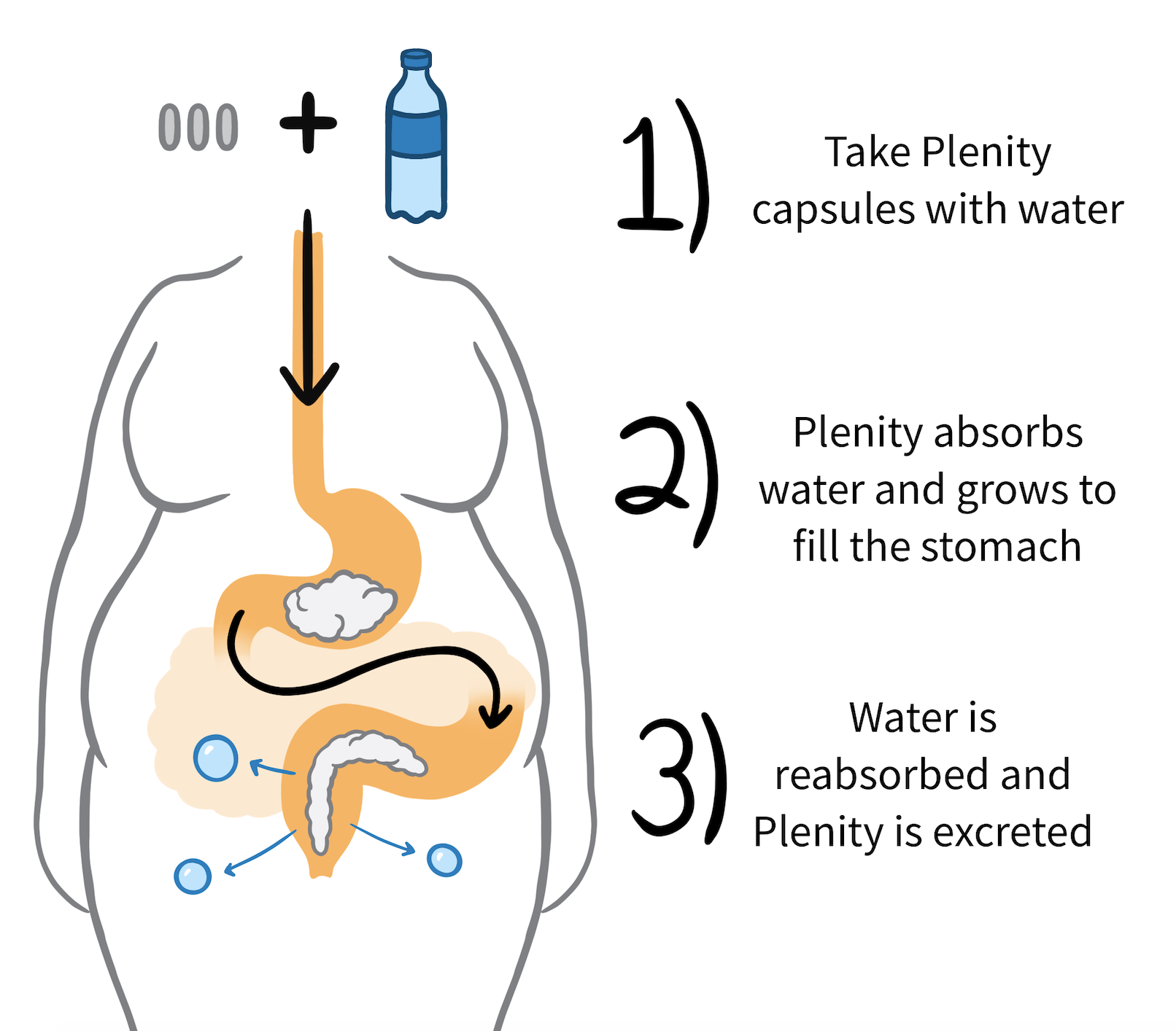 Plenity Weight loss pill how it works